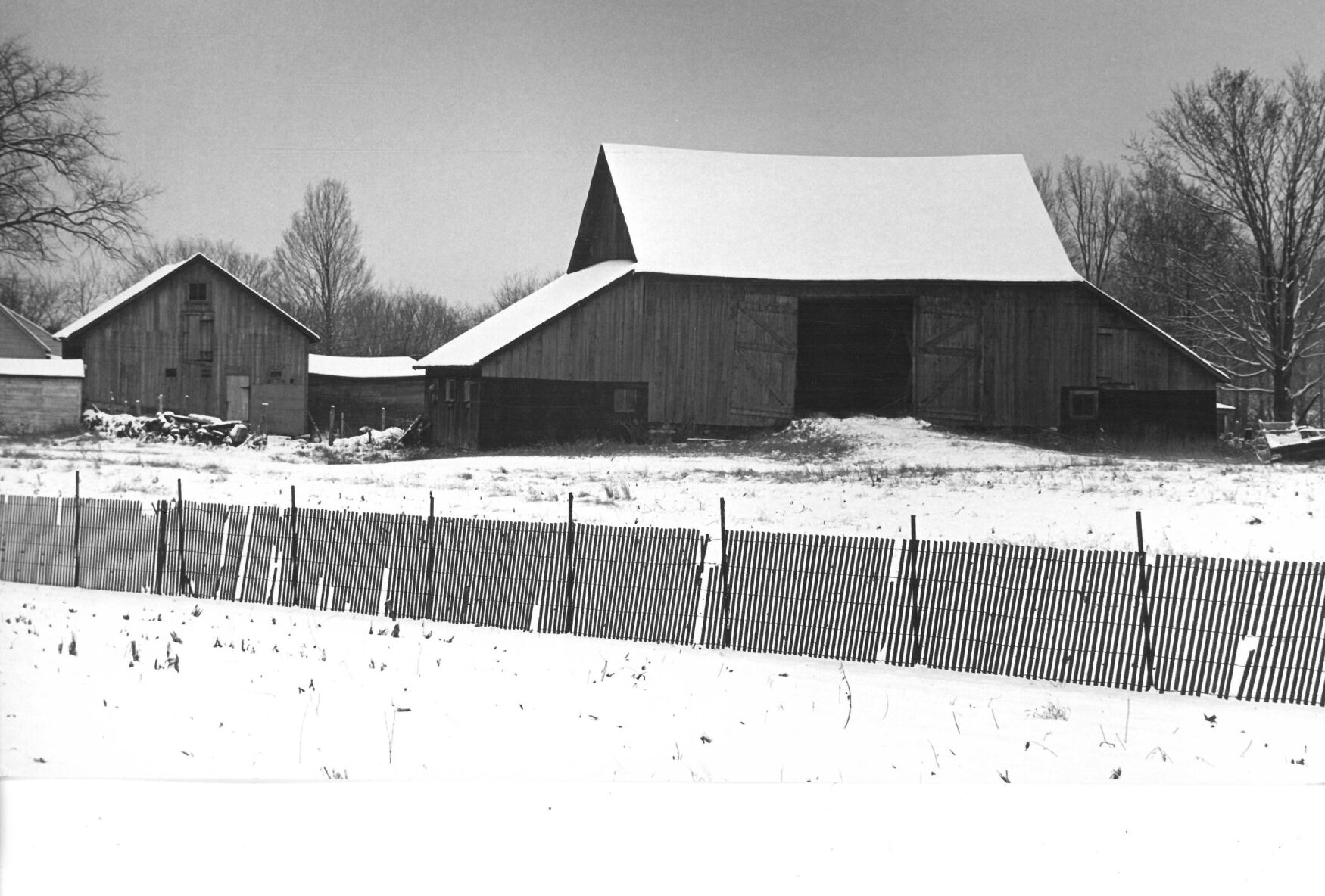 Snowy field